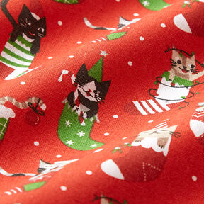 Bavlněná látka Kreton Vánoční kočky – červená, 